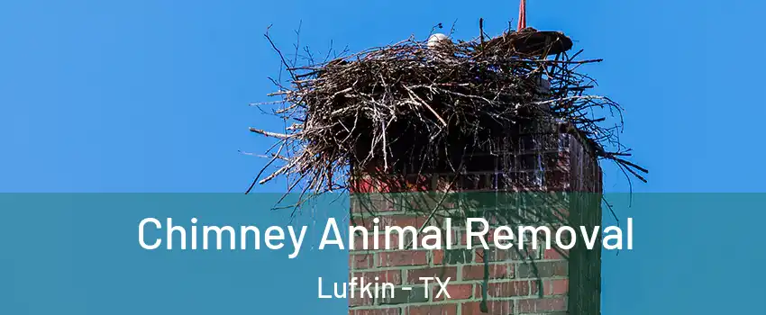 Chimney Animal Removal Lufkin - TX