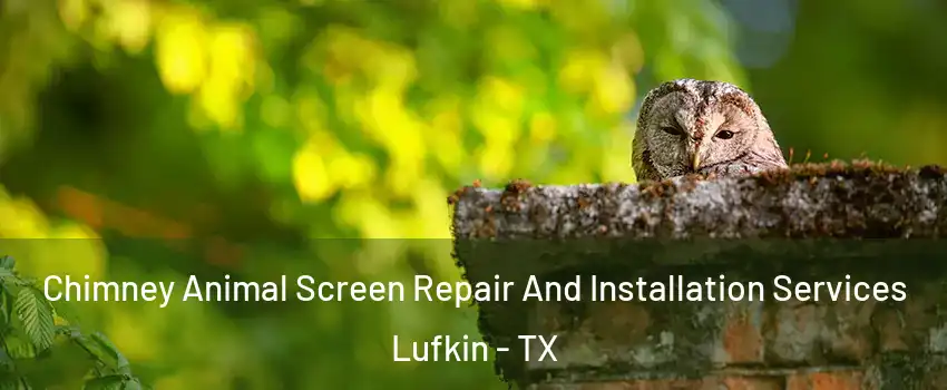  Chimney Animal Screen Repair And Installation Services Lufkin - TX