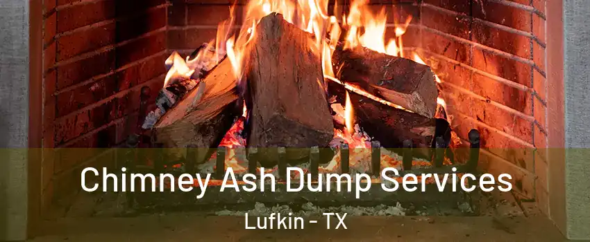  Chimney Ash Dump Services Lufkin - TX