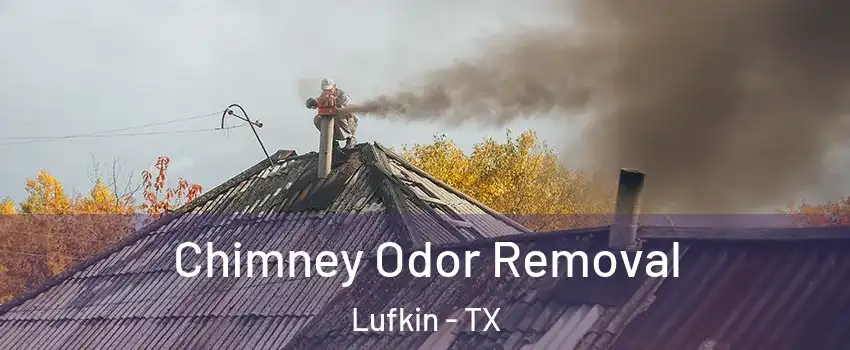  Chimney Odor Removal Lufkin - TX