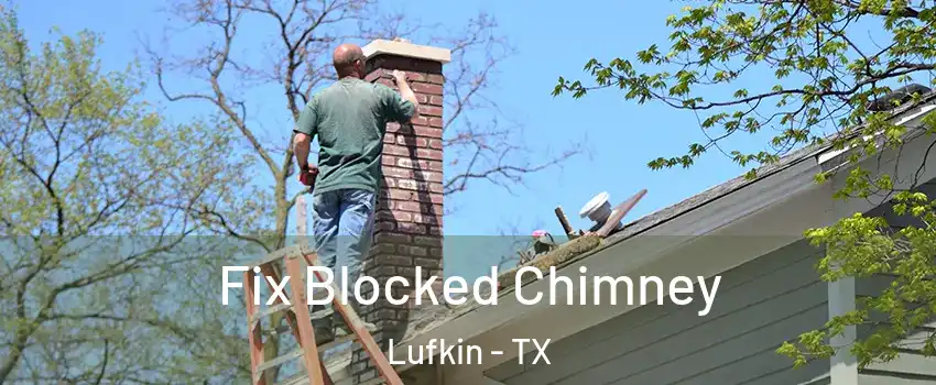  Fix Blocked Chimney Lufkin - TX