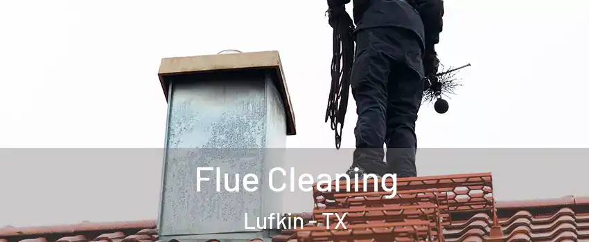  Flue Cleaning Lufkin - TX