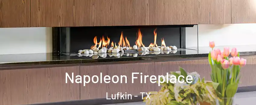  Napoleon Fireplace Lufkin - TX
